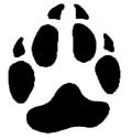 patte