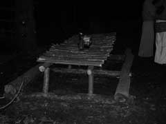 Table basse du Gerfaut