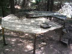 Table du Kraal