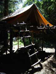 Tante de la Panthère