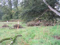 Corvées de bois