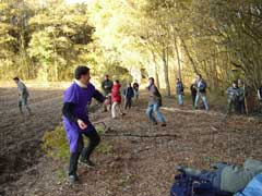 ...Des balles de paintball !!!