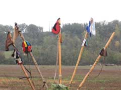 Les 5 staffs de patrouille