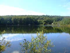Camp lacustre, autour de ce magnifique lac