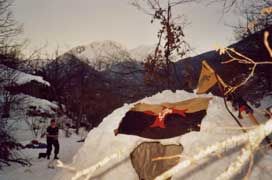 Le bel igloo du Renard